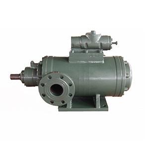 2G系列雙螺桿泵圖九產(chǎn)品圖2